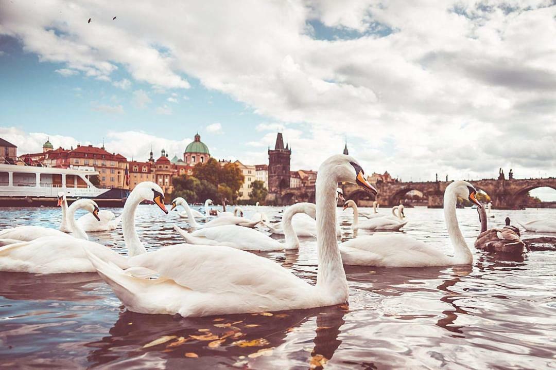 Quiet Apartment With Balcony Charles Bridge Prag Exterior foto